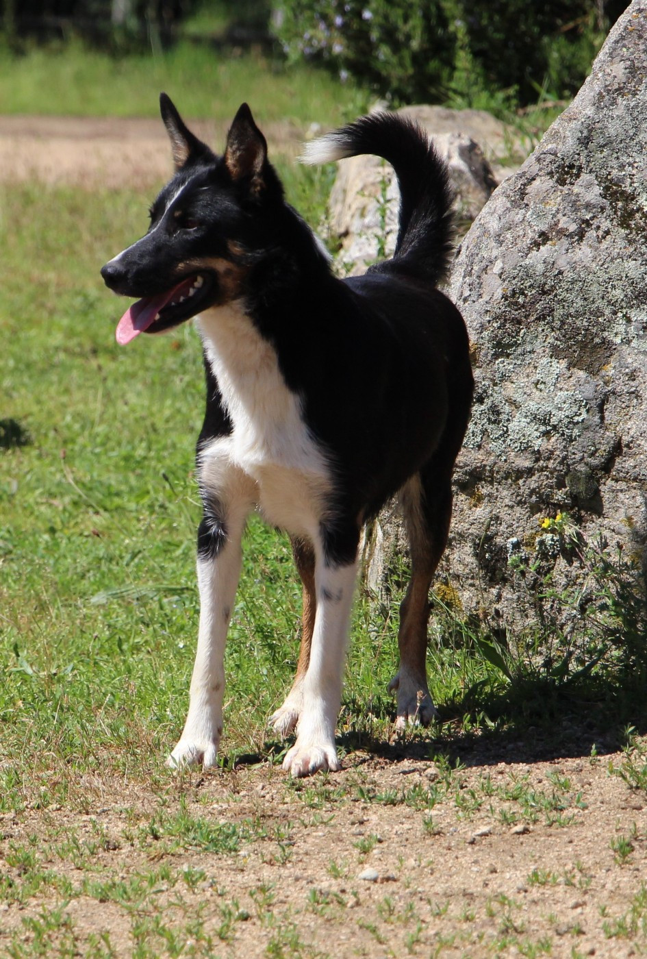 portée de News à réserver